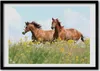 Bild - Bilder - Bilderrahmen - 70 cm x 50 cm - MDF-Rahmen, Produktbild-Vorschau 1