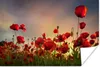 MuchoWow® Poster Bunter Himmel über einem Mohnblumenfeld in Produktbild-Vorschau 1