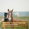 Two horses in a grassy field with a text overlay. Produktbild-Vorschau