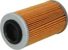 Filtro olio Champion COF456 per Bombardier ATV 500/650 Anteprima dell’immagine prodotto 2