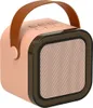 Kit Karaoké microphone + enceinte portable BLUETOOTH USB Voir les images du produit 3