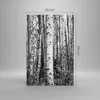 Bilder auf glas - Einteilig - Birken Wald Monochrom - Produktbild-Vorschau 3