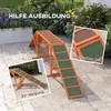 PawHut - Passerelle d'agilité pour chiens - Équipement Voir les images du produit 5