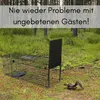2er Set Fuchsfalle Einzeltür Lebendfalle Marder Produktbild-Vorschau 2