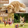Schnüffelball Schnüffelspielzeug für Hunde Interaktives Produktbild-Vorschau 5