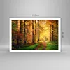 Poster - Poster ohne Rahmen - Wald Baum Natur - 91,5x61 cm Produktbild-Vorschau 4