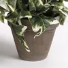 Mica Decorations Plante artificielle Ivy - 45x25x25 cm - Voir les images du produit 3