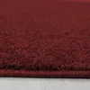 Kurzflor Teppich Alberto rechteckig, Farbe: Rot, Produktbild-Vorschau 4
