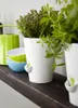 emsa FRESH HERBS Kräutertopf Ø 13 cm, Farbe Rosa Produktbild-Vorschau 2