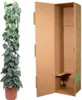 Lierre grimpant – Scindapsus Pictus Trebie – Plante Voir les images du produit 3