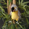 sigikid Coco Coocoo Kikeriki, Kuscheltier, Stofftier, Anteprima dell’immagine prodotto 4