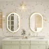 Vrygle Miroir Ovale avec Éclairage : Miroir LED 80x50 cm, Voir les images du produit 5
