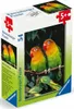 Puzzle Mini Haustiere  54 Teile sortiert, ab 5 Jahren,, Produktbild-Vorschau 6