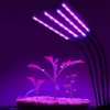 EINFEBEN 30W Pflanzenlampe LED, Dimmbar Pflanzenlicht mit Produktbild-Vorschau 1