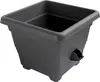 A dark gray, square plastic planter with a self-watering feature is shown against a white background. Náhled obrázku produktu