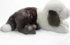 A plush toy dog lying down on a white background. Podgląd zdjęcia produktu