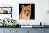 MuchoWow® Poster Fuchs - Rot - Schwarz 75x75 cm - Wand Produktbild-Vorschau 3