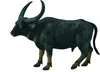 Collecta Wildwasserbüffel-figur  3-6 Years  3-6 Years Produktbild-Vorschau 2