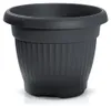 Prosperplast Pflanztopf Roma Garden - Kunststoff - Produktbild-Vorschau 5