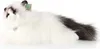 RAGDOLL PUSSION MASCOT, Chat réaliste, exactement comme le Voir les images du produit 3
