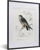 MuchoWow® MuchoWow® Gerahmtes Poster Vogel - Jahrgang - Produktbild-Vorschau 1