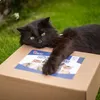 Akinu MŇAMKA BOX Pamlskový balíček pro kočky Náhled obrázku produktu 2