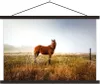 MuchoWow® Textilposter Pferd - Weide - Australien 90x60 cm Produktbild-Vorschau 1