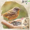 A bird is perched on a hand, eating sunflower seeds. A bag of sunflower seeds is next to the hand. Produktbild-Vorschau
