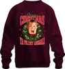 Merry Christmas Ya Filthy Animal Kevin McCallister - Home Podgląd zdjęcia produktu 1