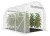 Outsunny Gewächshaus ca. 3 x 2 x 2 m Foliengewächshaus mit Produktbild-Vorschau 1