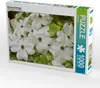 Calvendo Blumen-Hartriegel 1000 Teile Puzzle quer Produktbild-Vorschau 1