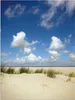 ARTland Wandbild Alu für Innen & Outdoor Dünenlandschaft II Produktbild-Vorschau 1