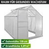 BRAST Gewächshaus Aluminium mit Fundament | 310x190x195cm | Produktbild-Vorschau 9