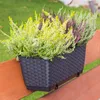 Prosperplast 6er-Set Blumentopf | Ratolla Case PW | Produktbild-Vorschau 10