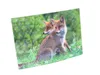 3 D Ansichtskarte Füchse, Postkarte Wackelkarte Produktbild-Vorschau 3