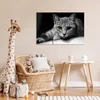 MuchoWow® Poster Katze - Tier - Makro 60x40 cm - Produktbild-Vorschau 7