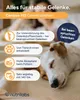 NutriLabs Canicox-HD Gelenktabletten für Hunde 140 Stk. - Produktbild-Vorschau 3
