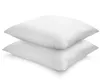 Kussen 65 x 65 cm, set van 2, zacht, Cyclafill-vulling van Productafbeelding-voorbeeld 1