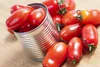 SAFLAX - BIO - Rajčatová - Romská - Solanum lycopersicum - Náhled obrázku produktu 4