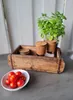 A wooden box with two spice shakers and a small stack of plates inside, next to a bowl of cherry tomatoes and a potted basil plant. Podgląd zdjęcia produktu