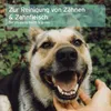 AniForte Denta Clean & Care Fingerpads für Hunde 50 Stk. Produktbild-Vorschau 6