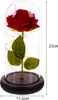 MT MALATEC Rose éternelle en verre Lumière LED Boîte cadeau Voir les images du produit 2