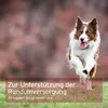 AniForte 4in1 Complete Dog Pulver 250g - Natürliche Produktbild-Vorschau 6