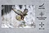 MuchoWow® Schreibtischunterlage Steppenbussard fliegt in Produktbild-Vorschau 2