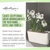 Lechuza Samozavlažovací truhlík Delta Premium 10 cm, Náhled obrázku produktu 19