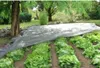 Gartenvlies Schutzvlies 3,2 x 100m Pflanzvlies zur Produktbild-Vorschau 6
