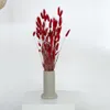 Lagurus Hasenschwanz Samtgras Trockenblumen 60-70cm DIY Produktbild-Vorschau 11