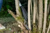 Gardena SlimCut Náhľad obrázku produktu 4