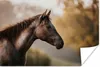 MuchoWow® Poster Pferd - Wald - Porträt 30x20 cm - Plakate Produktbild-Vorschau 1