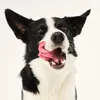 A close-up of a dog licking its lips. Podgląd zdjęcia produktu
